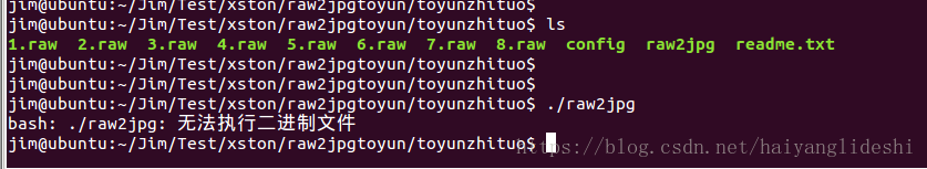 Linux bash：./xxx：无法执行二进制文件报错