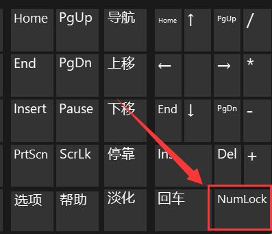 win11键盘打不了字按哪个键恢复