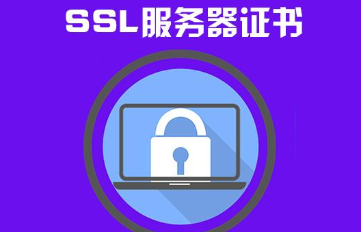 win11客户端和服务器不支持常用的ssl