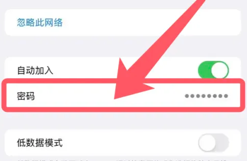 苹果15怎么看密码wifi