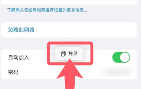 苹果15怎么看密码wifi