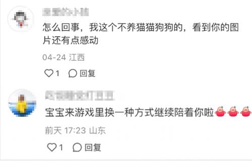 强推!申请以闪亮之名游戏加入养宠人必入清单